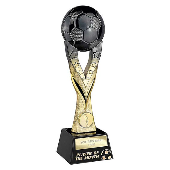 Extreme Player Of The Month 255mm