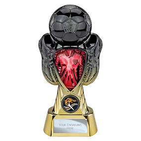 Red Shield Gold Tournament Trophy 190mm
