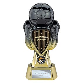 Managers Player Gold Tournament Trophy 245mm