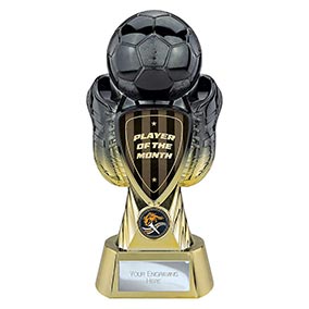 Player of the Month Gold Tournament Trophy 245mm