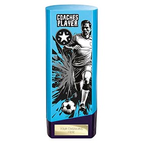 Coaches Player Blue Prime 190mm