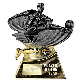 Player of the Year Gold Power Strike 180mm