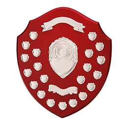 The Supreme Annual Shield Award 405mm