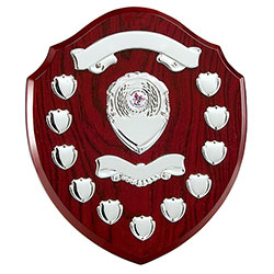The Supreme Annual Shield Award 320mm