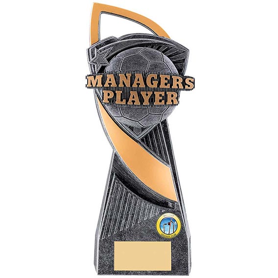 Utopia Managers Player Award 24cm