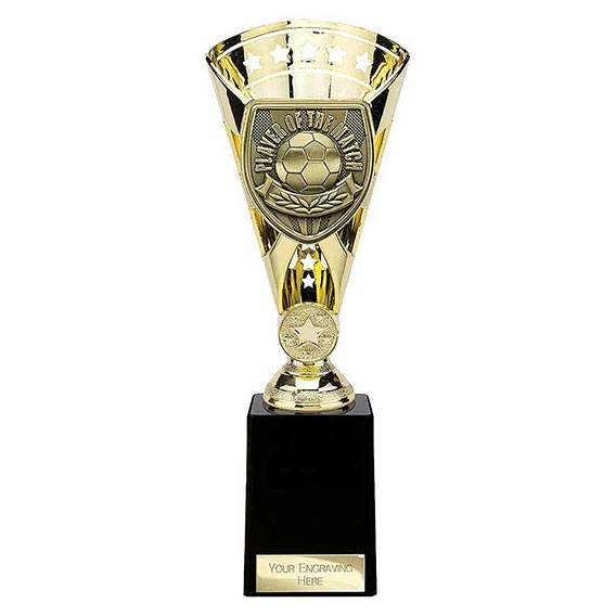 Gold Cobra Star Player of the Match 255mm
