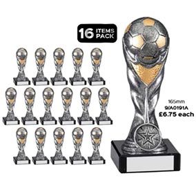 Eclipse Silver Cup 165mm Team Pack