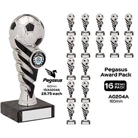 Pegasus Bright Silver Cup 16cm Team Pack