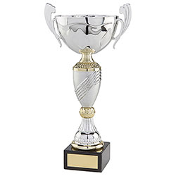 Century Cup Silver & Gold 320mm