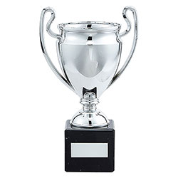 Legend Silver Football Cup 180mm