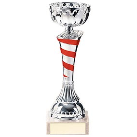 Eternity Cup Silver & Red 190mm