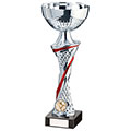 Dominion Cup Silver & Red 255mm