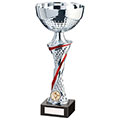 Dominion Cup Silver & Red 275mm