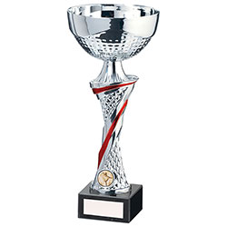 Dominion Cup Silver & Red 320mm