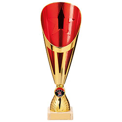 Rising Stars Deluxe Plastic Lazer Cup Gold & Red 305mm