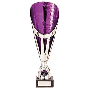 Rising Stars Deluxe Plastic Lazer Cup Silver & Purple 315mm