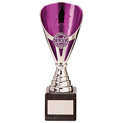 Rising Stars Premium Plastic Trophy Silver & Purple 200mm