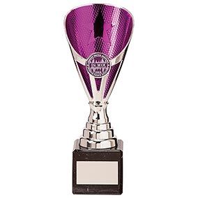 Rising Stars Premium Plastic Trophy Silver & Purple 200mm