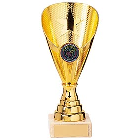 Rising Stars Premium Plastic Trophy Gold 170mm