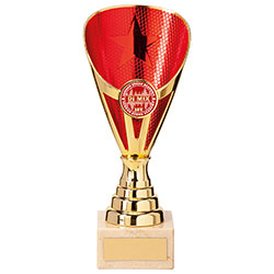 Rising Stars Premium Plastic Trophy Gold & Red 185mm