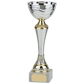 Everest Silver & Gold Cup 230mm