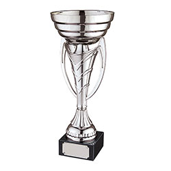 Odyssey Silver Cup 300mm