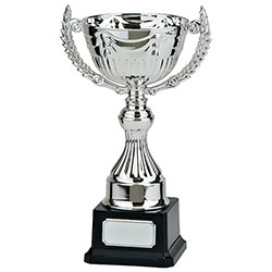 Endeavour Silver Cup 210mm