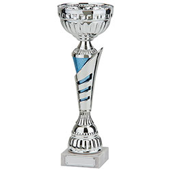 Vanquish Silver & Blue Cup 265mm
