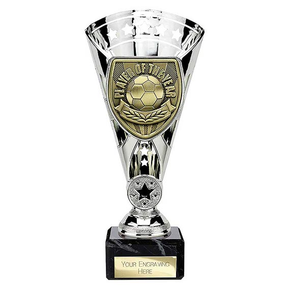 Silver Cobra Star Player of the Year 210mm