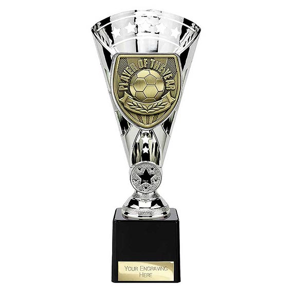 Silver Cobra Star Player of the Year 230mm