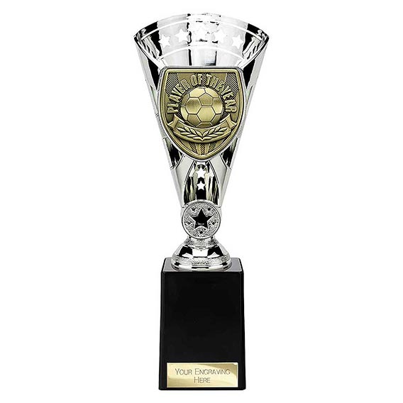Silver Cobra Star Player of the Year 255mm
