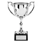 Silver Recognition Cast Cup 13cm