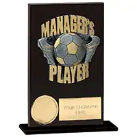 Euphoria Hero Managers Player Award 125mm