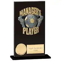 Euphoria Hero Managers Player Award 140mm