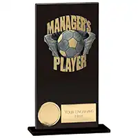 Euphoria Hero Managers Player Award 160mm