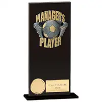 Euphoria Hero Managers Player Award 180mm