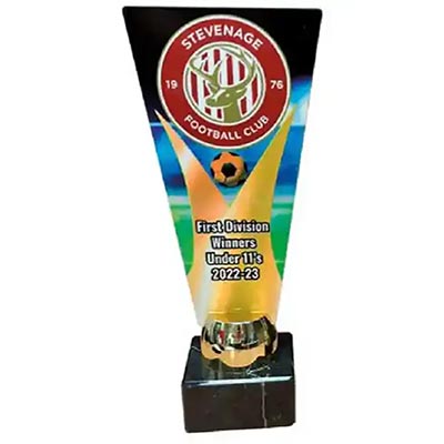 Full Colour Custom Football Award 26cm
