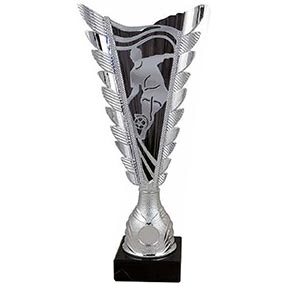 Fuego Black & Silver Football Cup 32cm