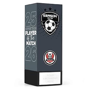 Grey Shield Opposition Player of the Match 17cm