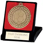 50mm Aviator Football Medal in Case Gold