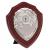 Rosewood Silver Triumph Silver Shield 15cm - view 1