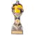 190mm Falcon Football Referee Award - view 1