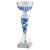 Charleston Cup Silver & Blue 240mm - view 1