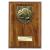 Cobra Wood Goalkeeper Plaque 175mm - view 1