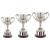 Cambridge Collection Nickel Plated Cup 260mm - view 2
