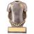 Falcon Football Shirt Award 105mm - view 1