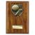 Cobra Wood Boot Ball Plaque 175mm - view 1