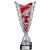Fuego Red & Silver Boot Ball Cup 32cm - view 1