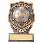 Player of the Year