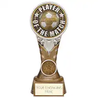 Ikon Tower Player of the Match Award 175mm